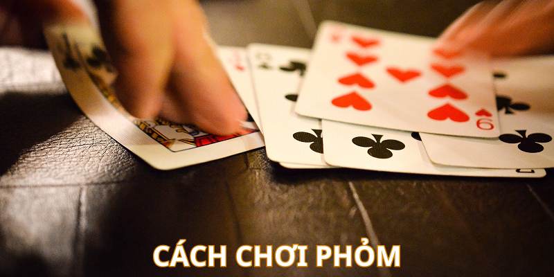 Tìm hiểu cách chơi phỏm cơ bản chi tiết