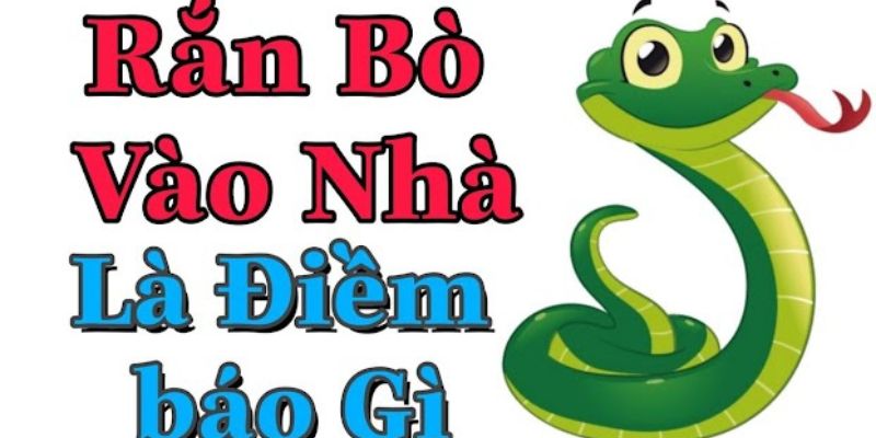 Giải mã giấc mơ thấy rắn bò vào nhà