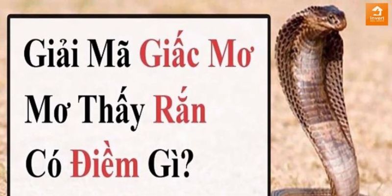 Giải ý nghĩa chung của giấc mơ thấy rắn là hên hay xui